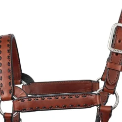 Perri's Buckstitch Halter
