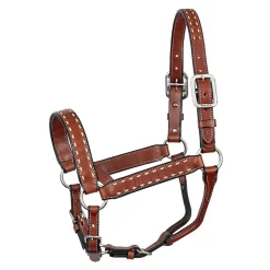 Perri's Buckstitch Halter