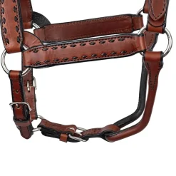 Perri's Buckstitch Halter