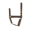 Perri's Economy Leather Foal/Pony Halter