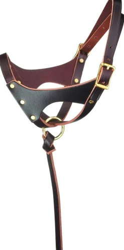 Perri's Grow-With-Me Foal Halter