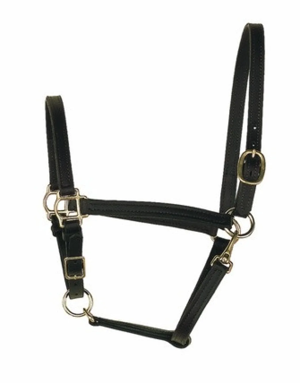 Perri's 3/4-Inch Leather Turnout Halter