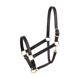 Perri's 1-Inch Leather Turnout Halter