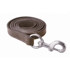 Perri's Leather Lead with Chrome Snap