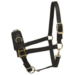 Perri's Nylon Lunge Cavesson