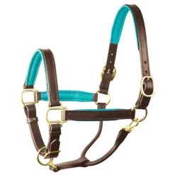 Perri's Padded Leather Halter with Color Trim