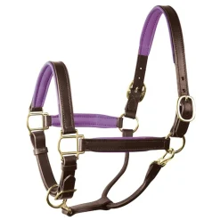 Perri's Padded Leather Halter with Color Trim