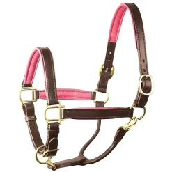 Perri's Padded Leather Halter with Color Trim