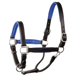 Perri's Padded Leather Halter with Color Trim