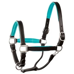 Perri's Padded Leather Halter with Color Trim