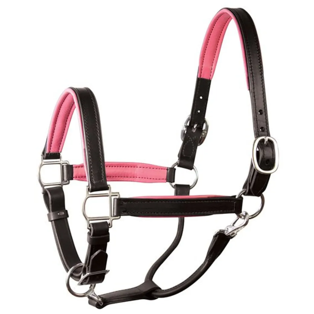 Perri's Padded Leather Halter with Color Trim