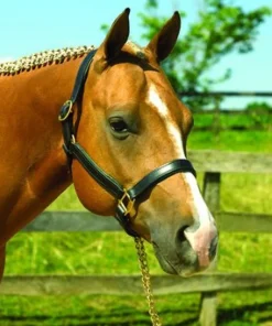 Perri's Padded Leather Halter