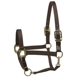 Perri's Premium Nylon Safety Halter