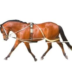 Pessoa Lunging System