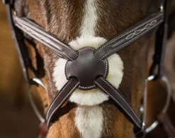 Pessoa PRO Fancy Stitched Figure 8 Bridle