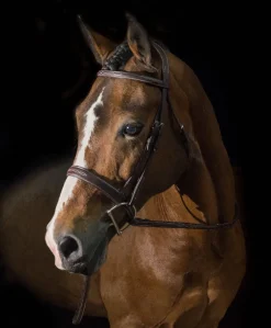 Pessoa PRO Fancy Stitched Wide Bridle