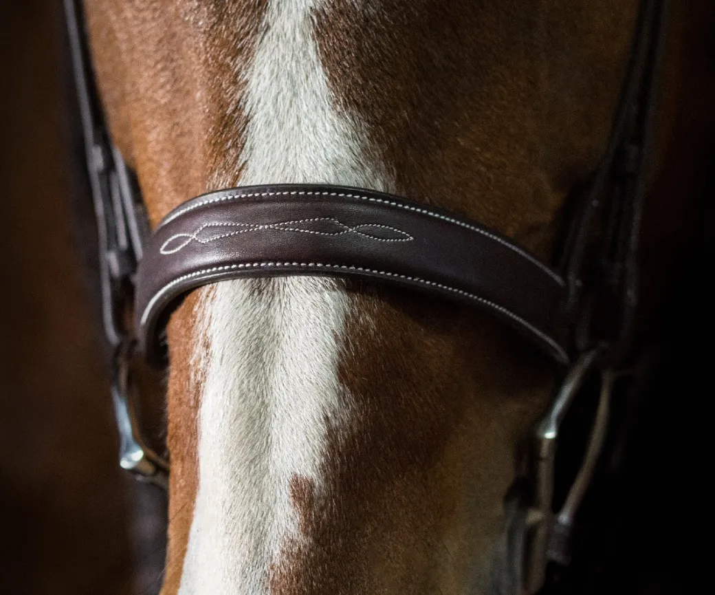 Pessoa PRO Fancy Stitched Wide Bridle