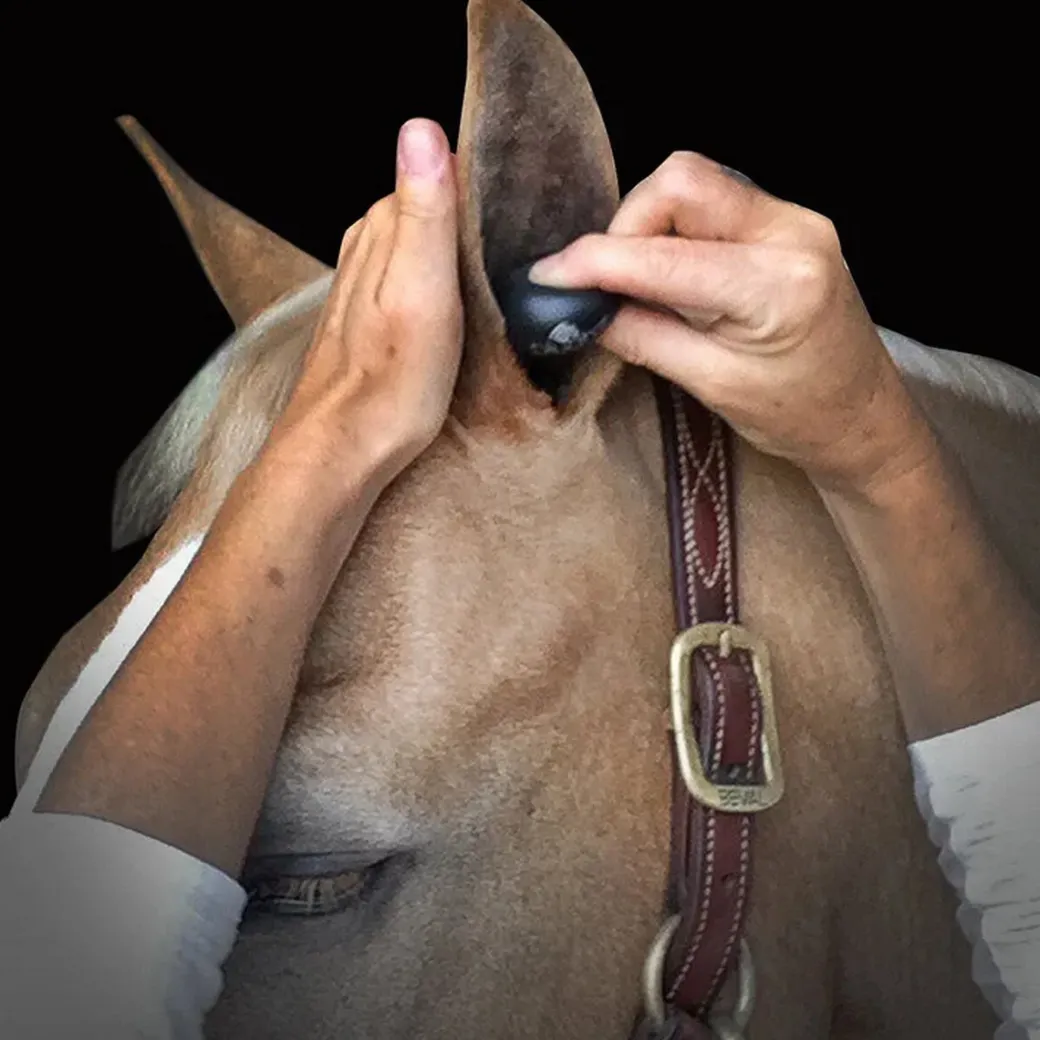 Plughz Equine Ear Plugs