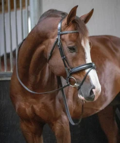 Pénélope Daily Snaffle Bridle