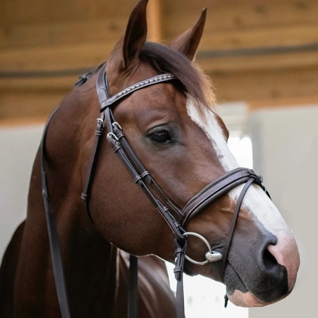 Pénélope Daily Snaffle Bridle