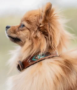 Pénélope Pearl Leather Dog Collar