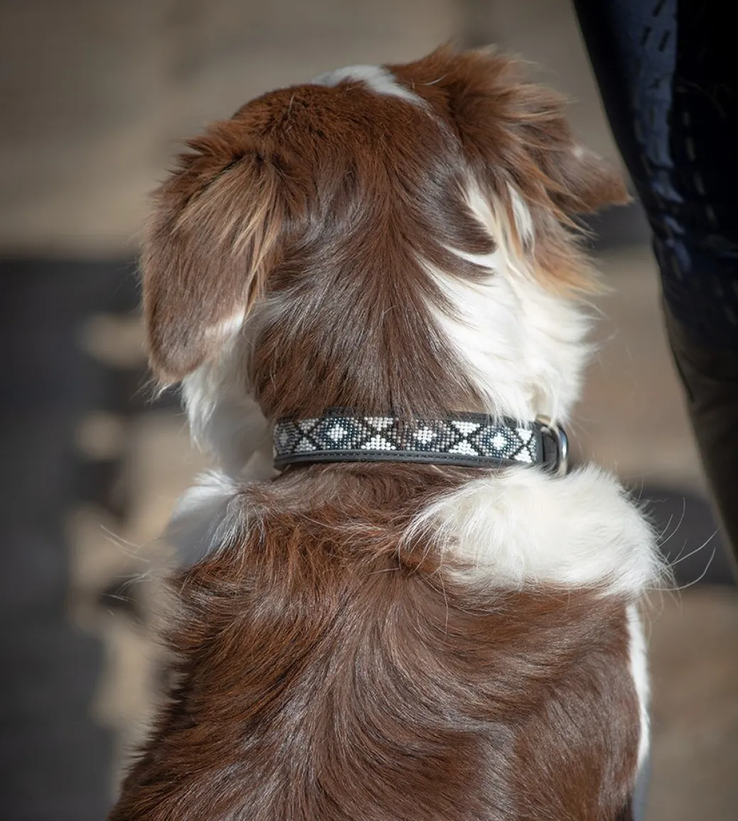 Pénélope Pearl Leather Dog Collar
