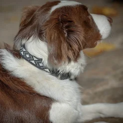Pénélope Pearl Leather Dog Collar