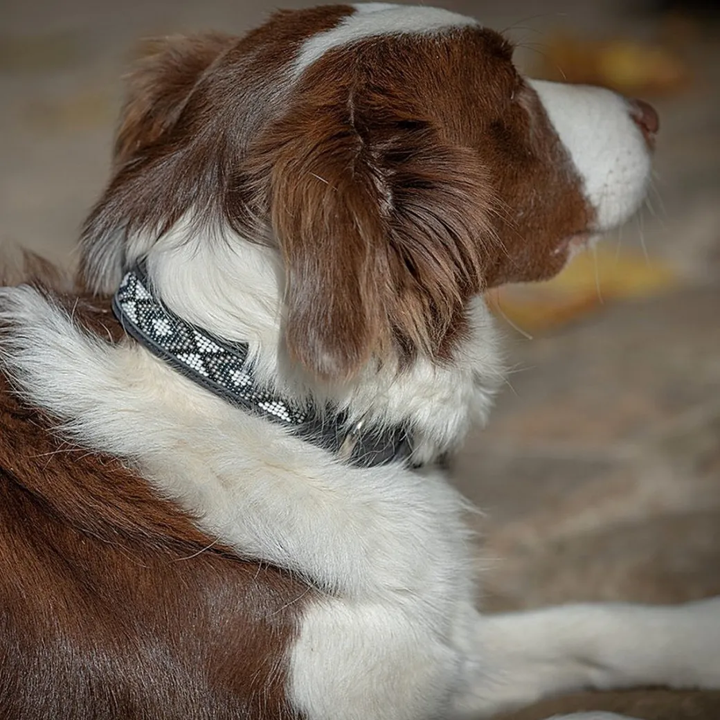 Pénélope Pearl Leather Dog Collar