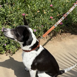 Pénélope Pearl Leather Dog Leash