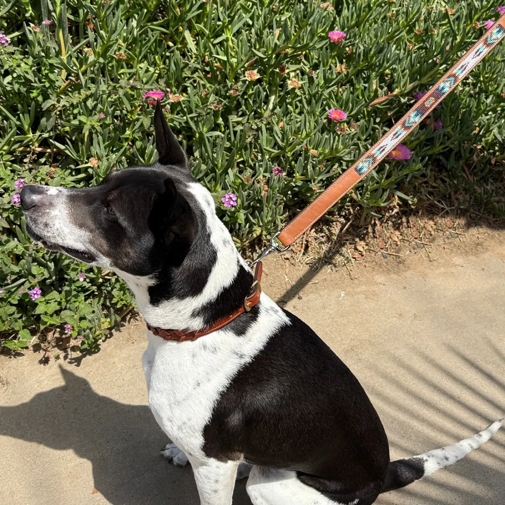Pénélope Pearl Leather Dog Leash