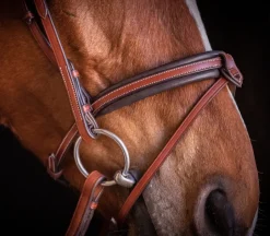 Pénélope US Bridle