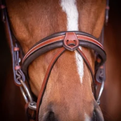 Pénélope US Bridle