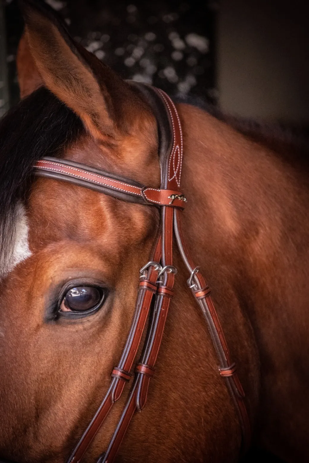 Pénélope US Bridle