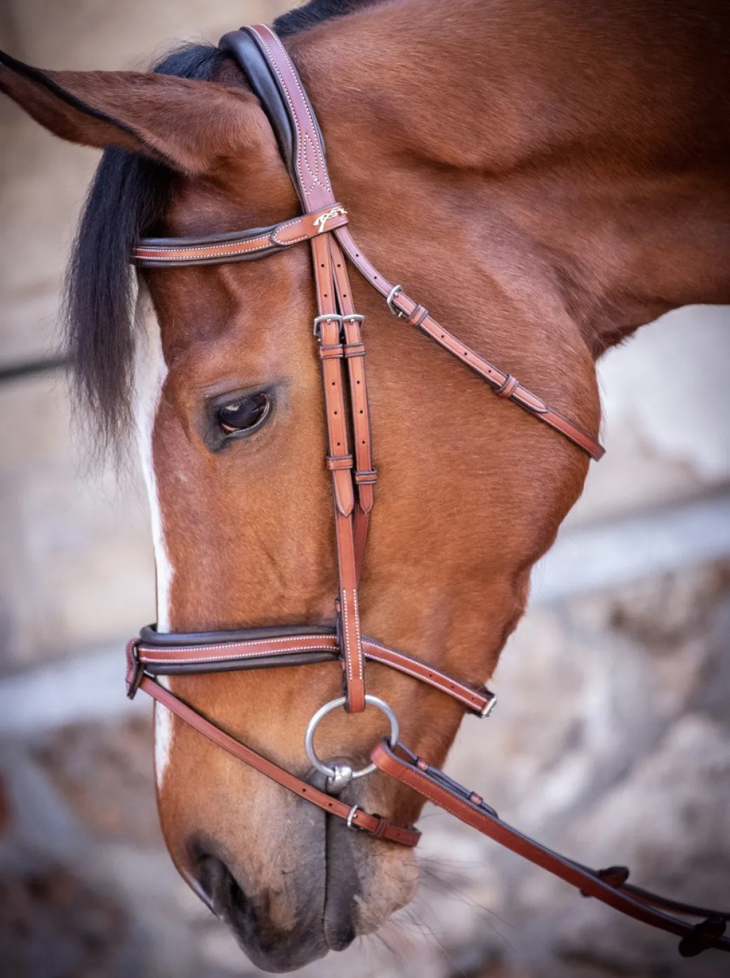 Pénélope US Bridle