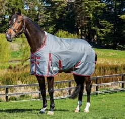 Pony WeatherBeeta ComFiTec Plus Dynamic Standard Turnout