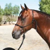Professional's Choice Clinician Halter with 15 Ft Lead