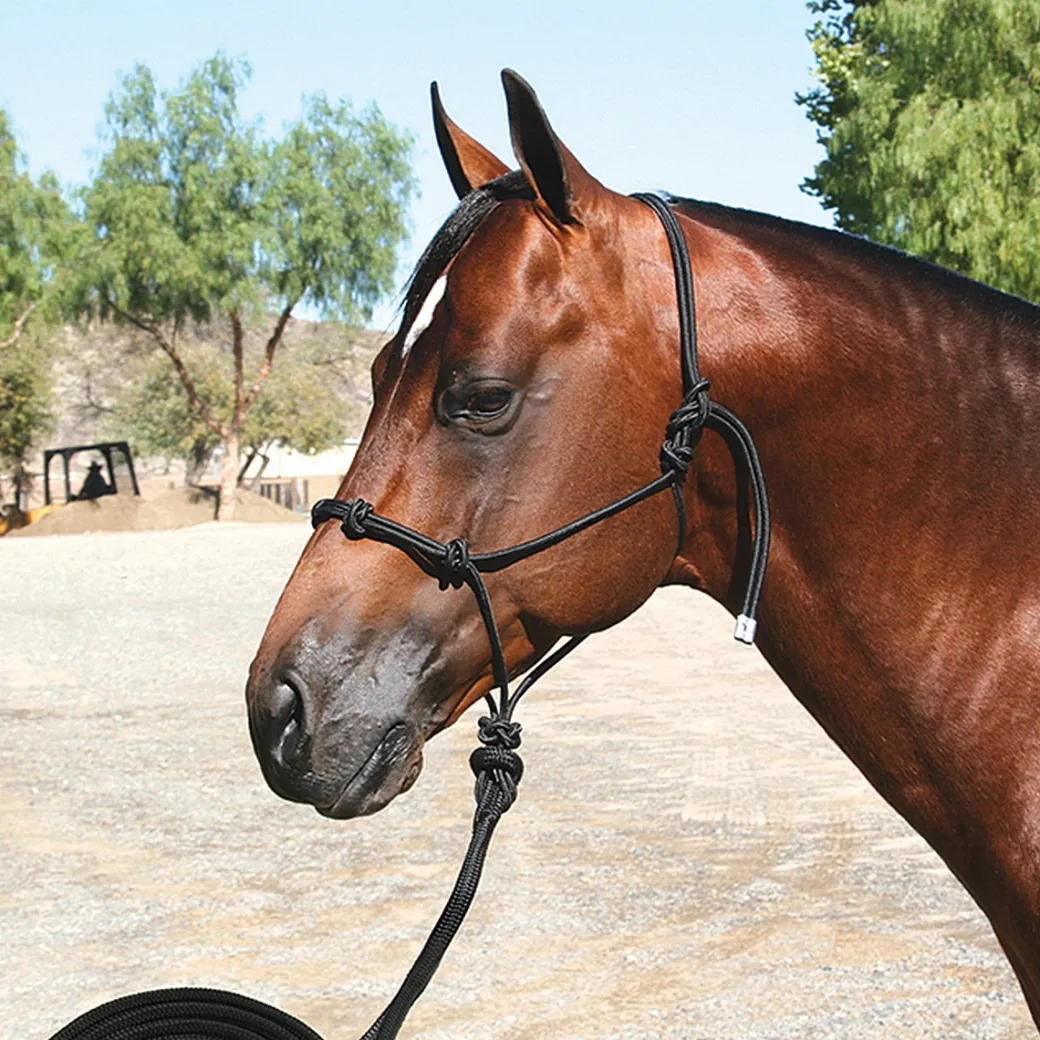 Professional's Choice Clinician Halter with 15 Ft Lead