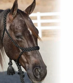 Professional's Choice Cowboy Braided Halter
