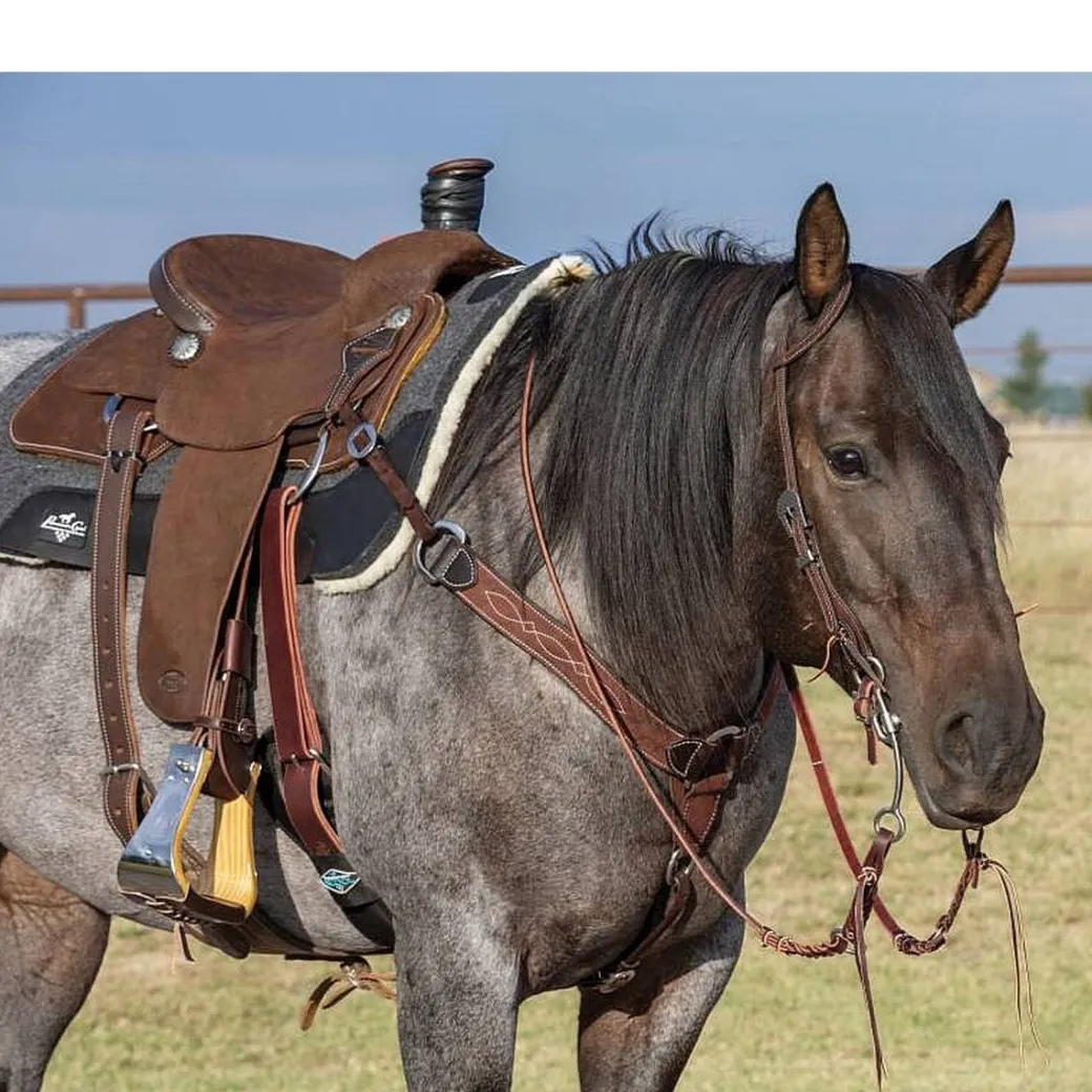 Professional's Choice Gunslinger Breast Collar