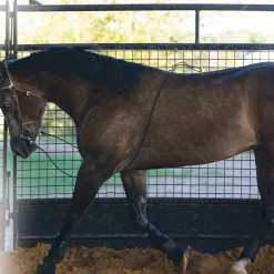 Professional's Choice Lunging Buddy
