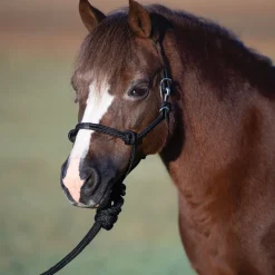 Professional's Choice Pony Easy-On Rope Halter