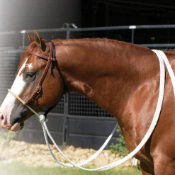 Professional's Choice Ranch Loping Hackamore