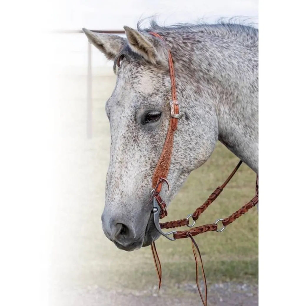 Professional's Choice Swell Cheek Floral One Ear Headstall