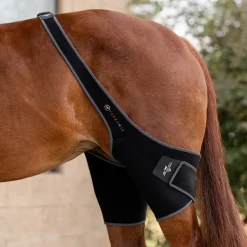 Professional's Choice Theramic Stifle Wrap
