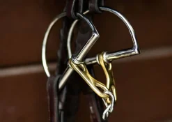 ProSeries Derby D-Ring Bit