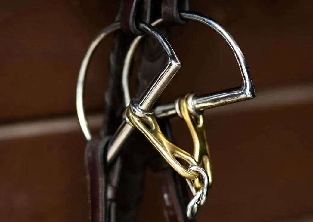 ProSeries Derby D-Ring Bit