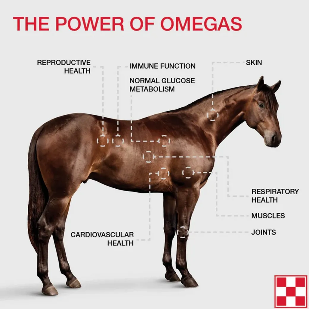 Purina Omega Match Ahiflower Oil Supplement