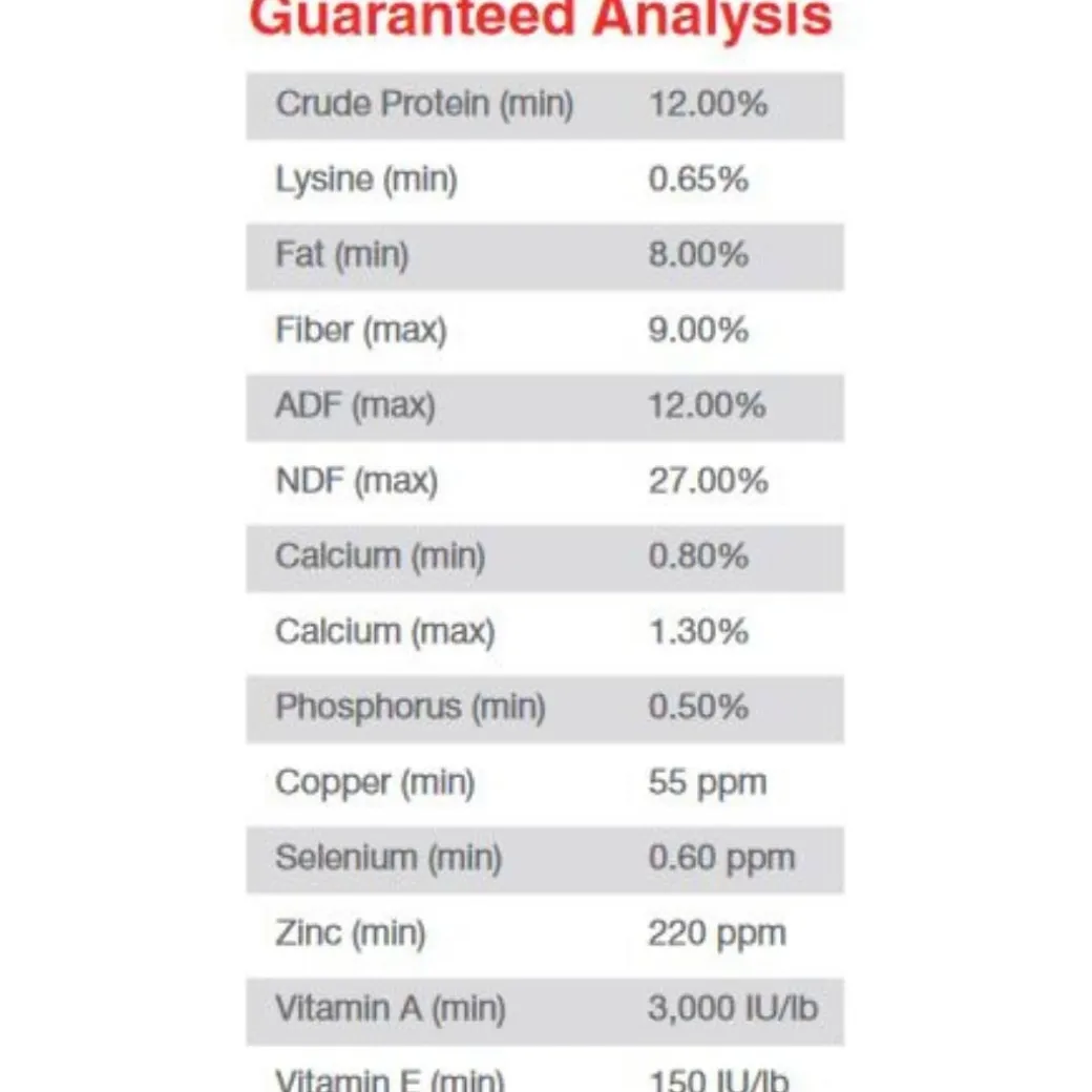 Purina Omolene 500 Competition
