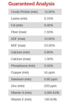 Purina Omolene 200 Performance