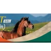 Quest Gel Dewormer